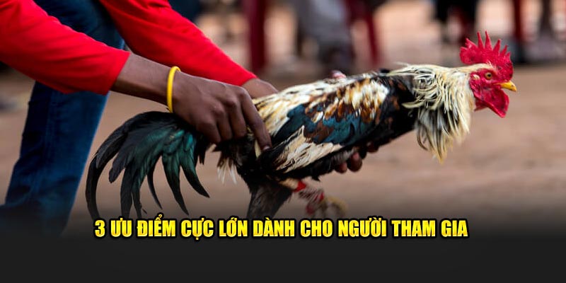 3 ưu điểm cực lớn dành cho người tham gia