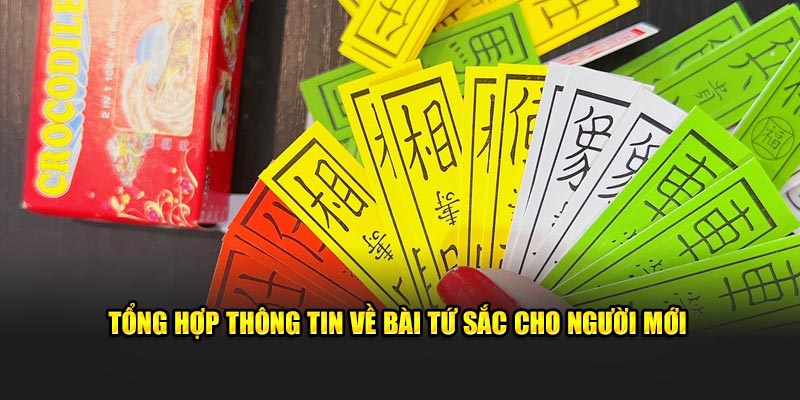 Tổng hợp thông tin về game bài tứ sắc cho người mới